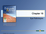 Chapter 18 - Eye Pathologies