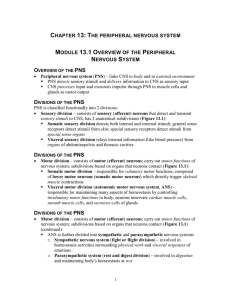 CHAPTER 13: THE PERIPHERAL NERVOUS SYSTEM MODULE
