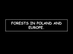 FORESTS IN POLAND AND EUROPE.