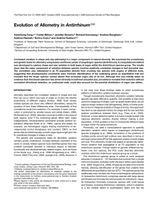 Evolution of Allometry in Antirrhinum