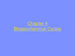 Chapter 4 Biogeochemical Cycles
