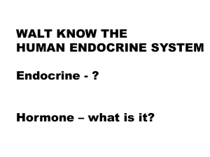 Hormones - overview File - E