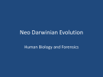 Neo Darwinian Evolution - Fall River Public Schools