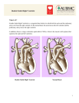 Double Outlet Right Ventricle