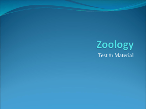 Zoology