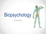 Biopsychology - WordPress.com