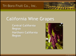 California wine Grapes