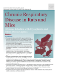 Chronic Respiratory Disease in Rats and Mice