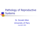 Pathology of Reproductive Systems