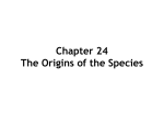 Chapter 24 The Origins of the Species