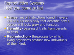 reproductive_systems_endocrine_system.pps