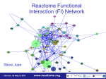 Reactome Functional Interaction (FI) Network