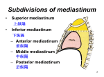 Subdivisions of mediastinum