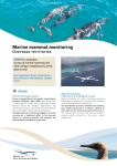 REMMOA campaigns - Overseas territories (pdf - 1.86 MB)