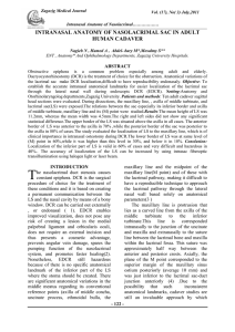 intranasal anatomy of nasolacrimal sac in adult human cadaver