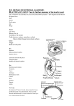 213: HUMAN FUNCTIONAL ANATOMY: PRACTICAL CLASS 9 Face