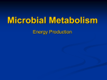 Energy Production