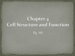 Chapter 4 Cell Structure and Function