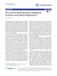 The actinin family proteins: biological function and