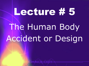 HUMAN BODY accident or design