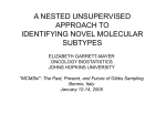 a nested unsupervised approach to identifying novel molecular