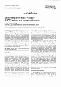 Invited Re vie W Epidermal growth factor receptor (EGFR) biology