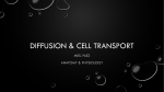 Diffusion _ Cell Transport Powerpoint