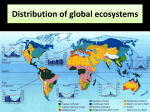 Introducing global ecosystems