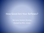 Nervous System Game Show