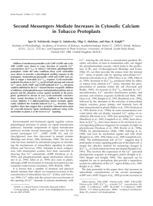 Second Messengers Mediate Increases in Cytosolic Calcium in