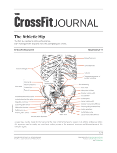 The Athletic Hip