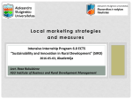 Local Marketing Strategies and Measures