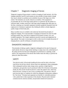 Chapter 7 Diagnostic Imaging of Horses