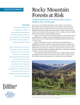 Executive Summary -- Rocky Mountain Forests at Risk