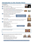 Introduction to the Female Pelvis