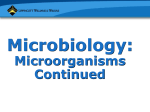 Acellular Infectious Agents (continued)