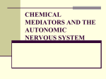 ANATOMY AND PHYSIOLOGY OF THE AUTONOMIC NERVOUS