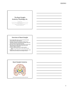 The Basal Ganglia Anatomy, Physiology, etc. Overview