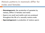 Conception, Embryonic Development, and Birth