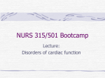 NURS 315/501 Bootcamp