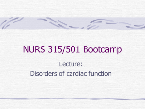 NURS 315/501 Bootcamp