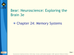 Ch24- Memory Systems