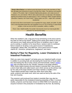 to the Black Barley Health Benefit
