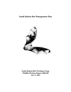 Ideas for Bat Management Plan - South Dakota Bat Working Group