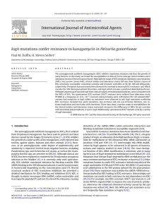 International Journal of Antimicrobial Agents ksgA mutations confer