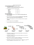 ANSWERS Biology Interim Study Guide
