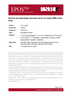 Normal and pathologic peroneal nerve on routine MRI of