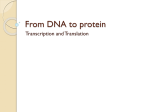 From DNA to protein