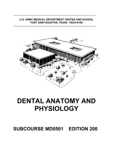 dental anatomy and physiology