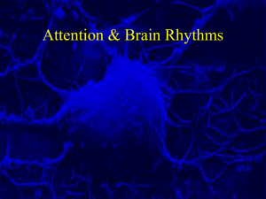 Lecture 7 Rhythms of the Brain